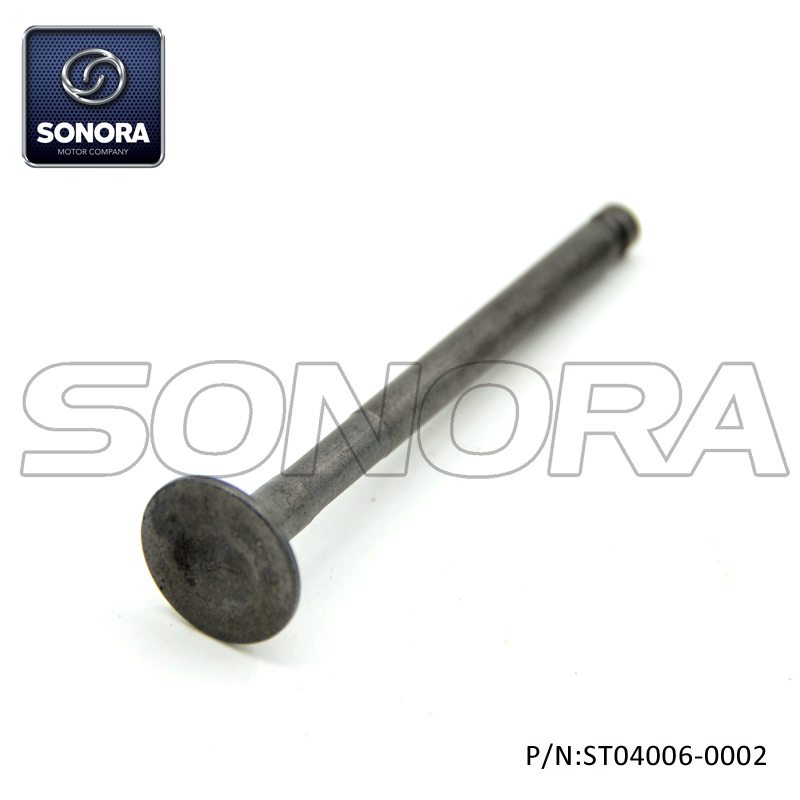 ST04006-0002 (1) ST04006-0002 (1)