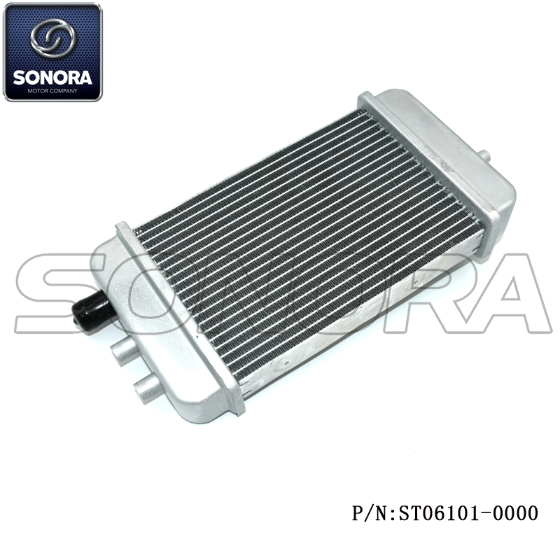 ST06101-0000 (3) ST06101-0000 (3)