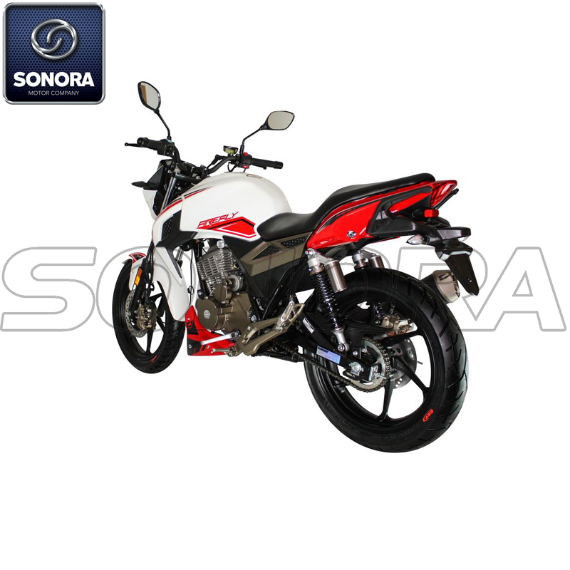 Firefly 125i (6) Luciérnaga 125i (6)