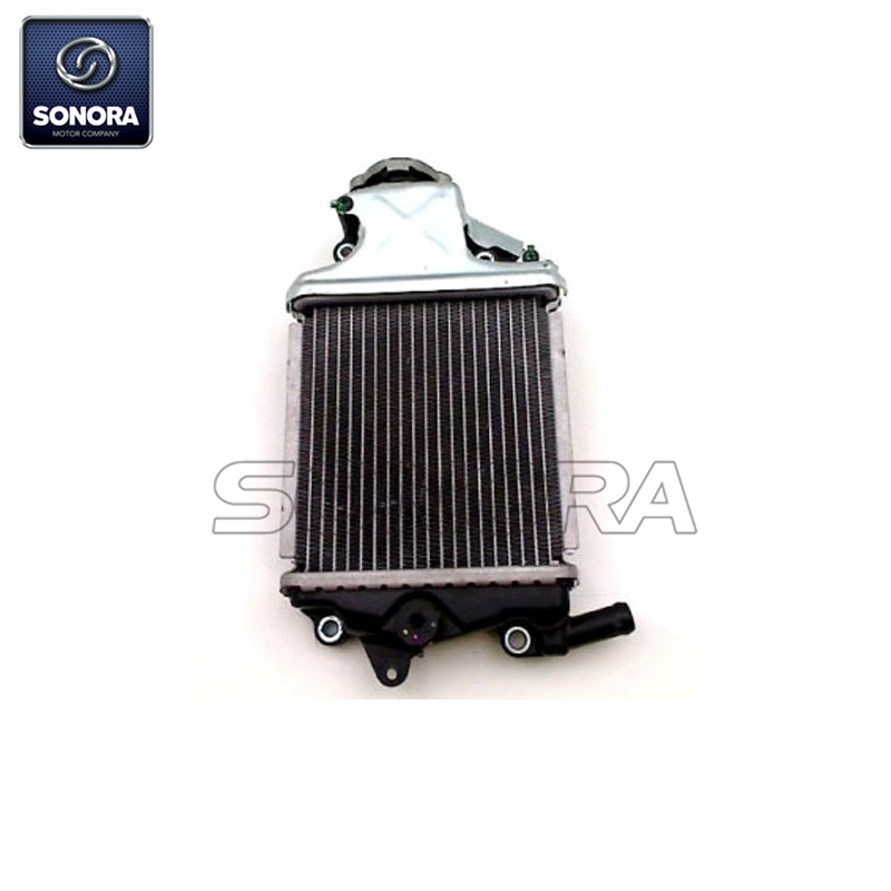 PCX125,150 radiator 19100-kzy-700701 Radiador PCX125,150 19100-kzy-700701