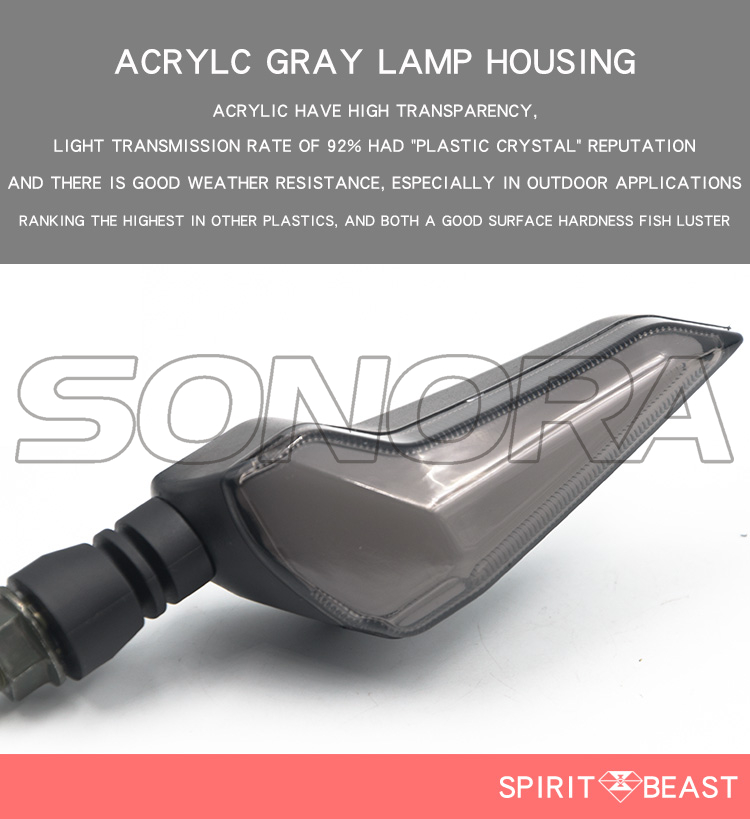 SPIRIT BEAST turn signal L12 (1) Luz de giro SPIRIT BEAST L12 (1)