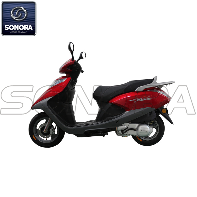 RUIYU HJ100T-17 (3) RUIYU HJ100T-17 (3)