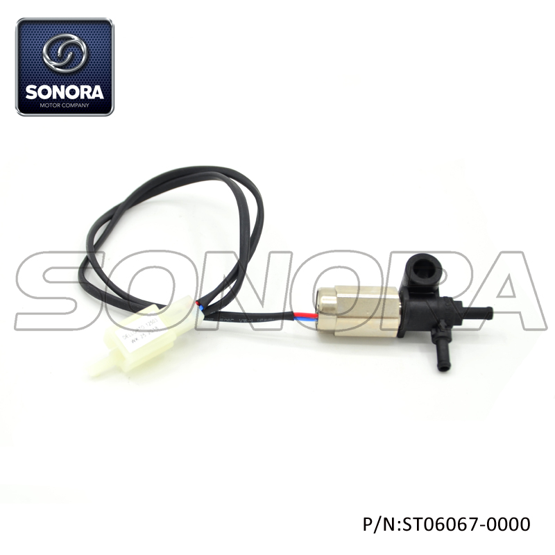 ST06067-0000 (2) ST06067-0000 (2)