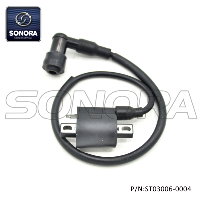 ST03006-0004 (3) ST03006-0004 (3)