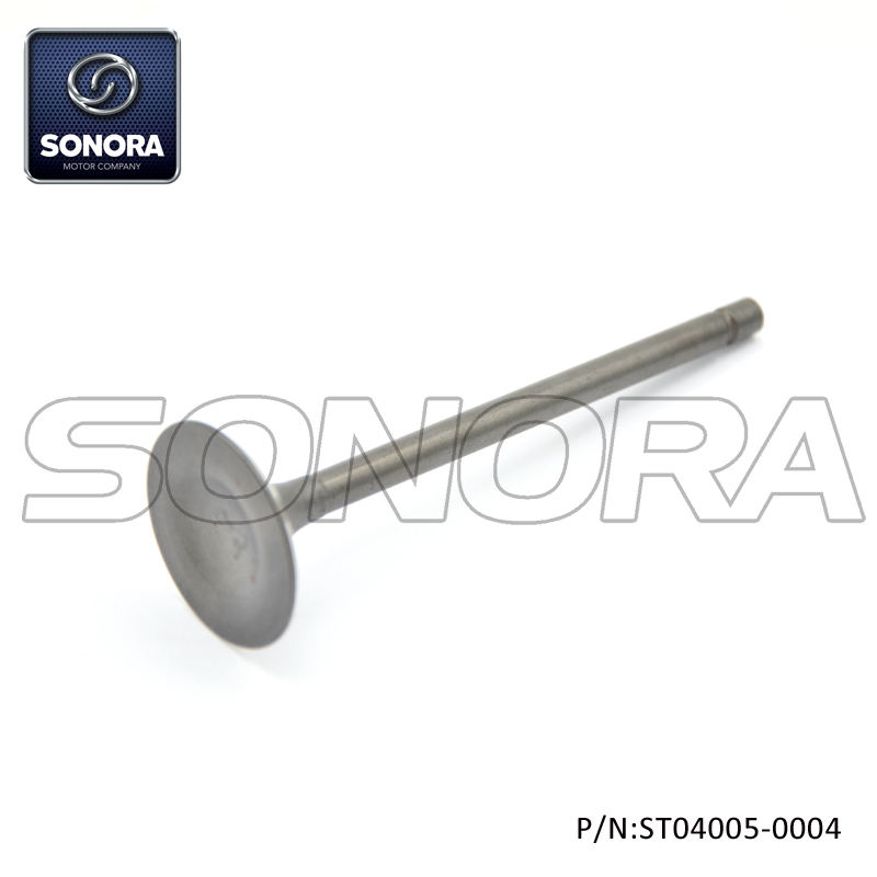 ST04005-0004 (1) ST04005-0004 (1)