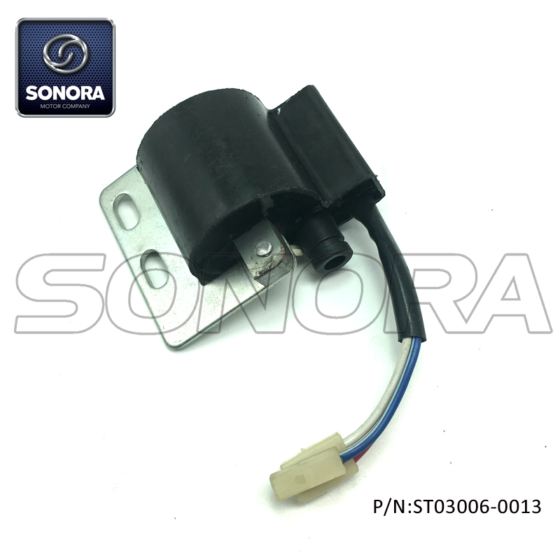 ST03006-0013 (5) ST03006-0013 (5)