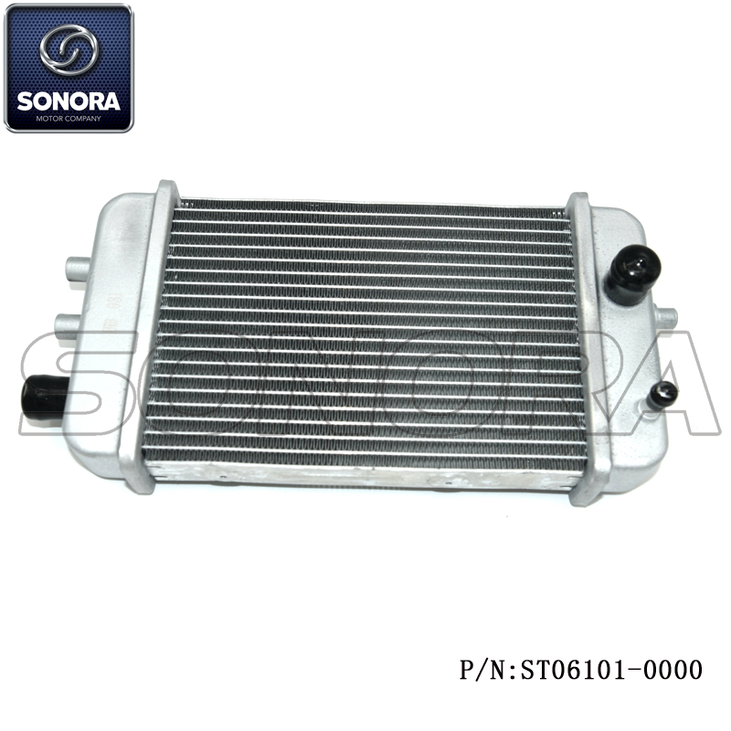 ST06101-0000 (1) ST06101-0000 (1)