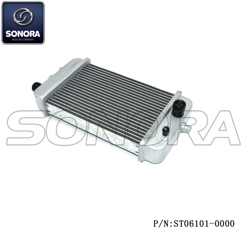 ST06101-0000 (4) ST06101-0000 (4)