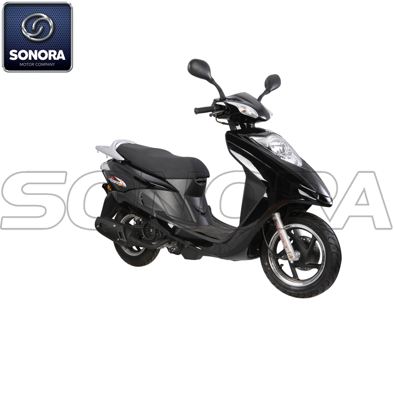 SKY FLY HJ125T-19 (2) CIELO MOSCA HJ125T-19 (2)