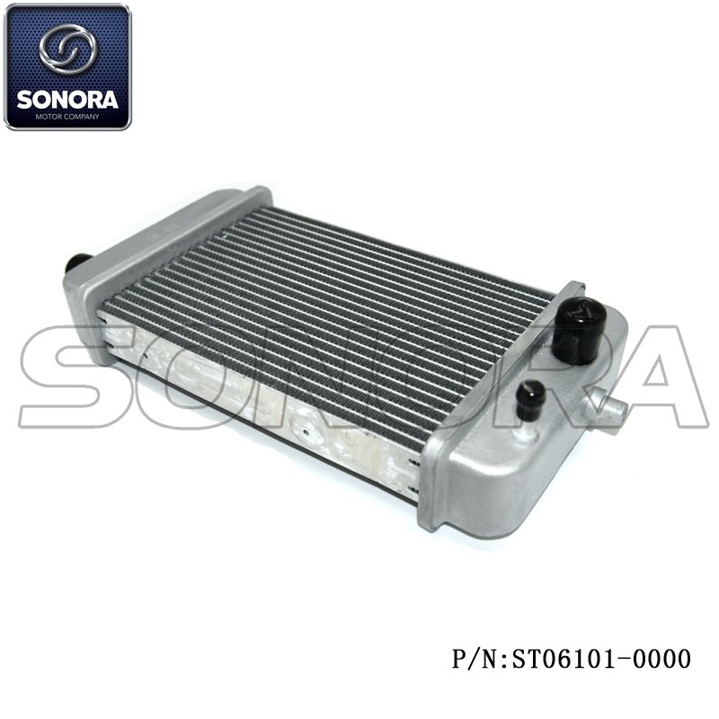 ST06101-0000 (5) ST06101-0000 (5)