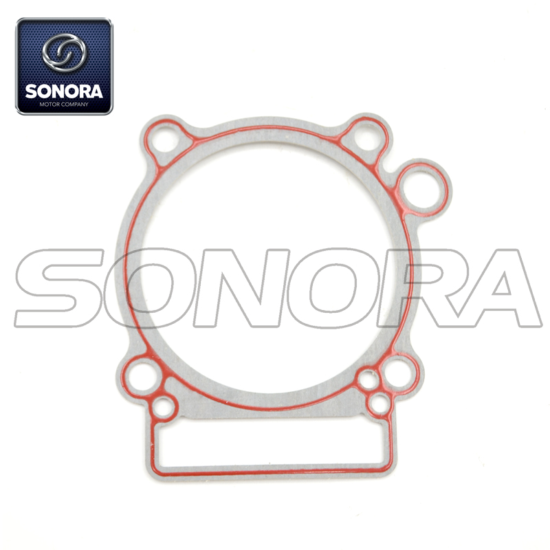 100069657 (1) 100069657 (1)