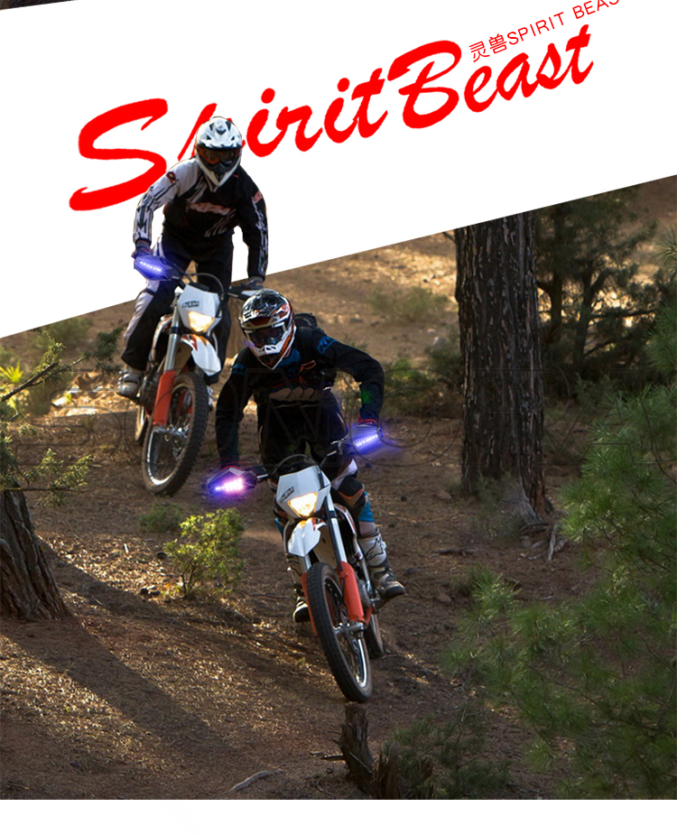 SPIRIT BEAST LED with light guard L1 (3) SPIRIT BEAST LED con protector de luz L1 (3)