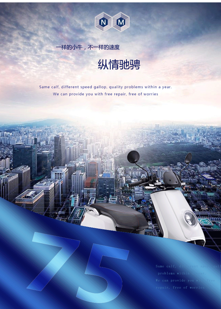 ST04131-0000 (8) ST04131-0000 (8)