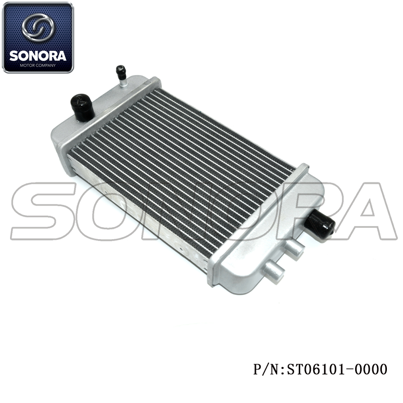 ST06101-0000 (2) ST06101-0000 (2)