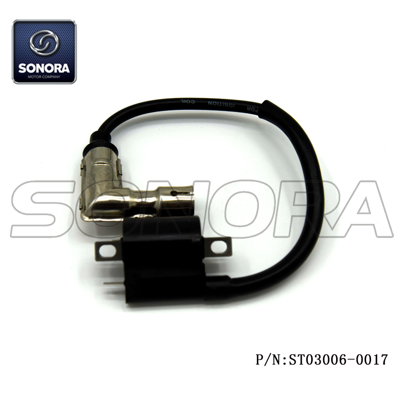 ST03006-0017 (3) ST03006-0017 (3)