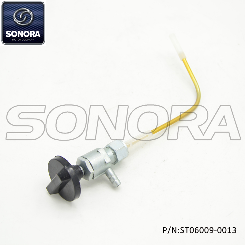 ST06009-0013 (1) ST06009-0013 (1)