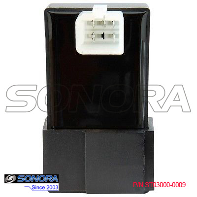 ST03000-0009 BAOTIAN 12`` 30KM CDI ST03000-0009 BAOTIAN 12`` 30km CDI