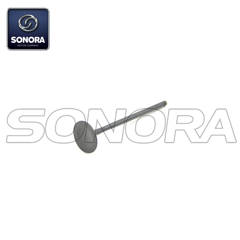 100200652 exhuast valve (1) 100200652 válvula de escape (1)