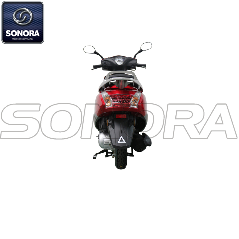 RUIYU HJ100T-17 (4) RUIYU HJ100T-17 (4)