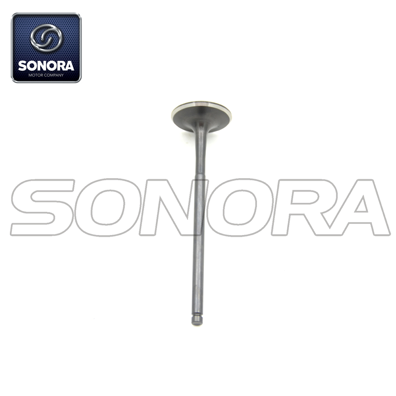 100200652 exhuast valve (2) 100200652 válvula de escape (2)