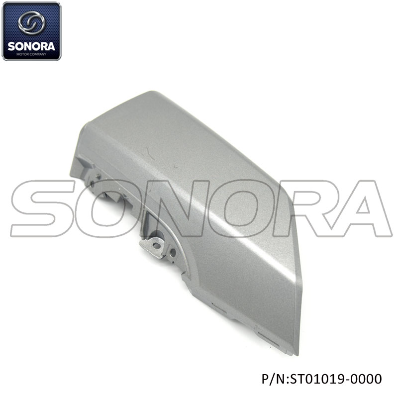 ST01019-0000 (2) ST01019-0000 (2)