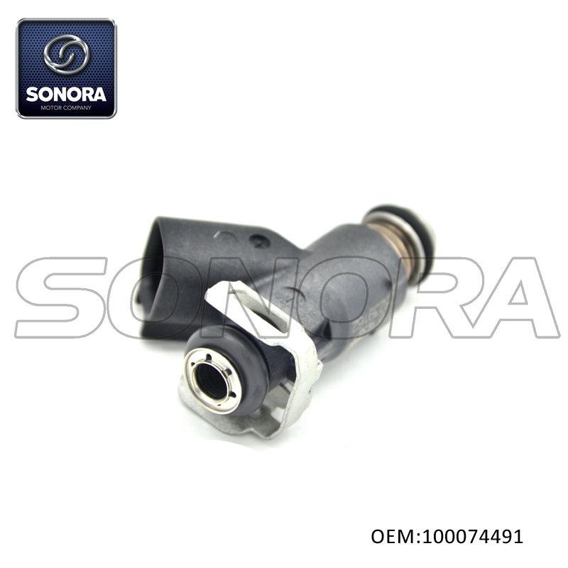 100074491 NX250 ZY125SR Fuel Injector (2) 100074491 NX250 ZY125SR Inyector de combustible (2)