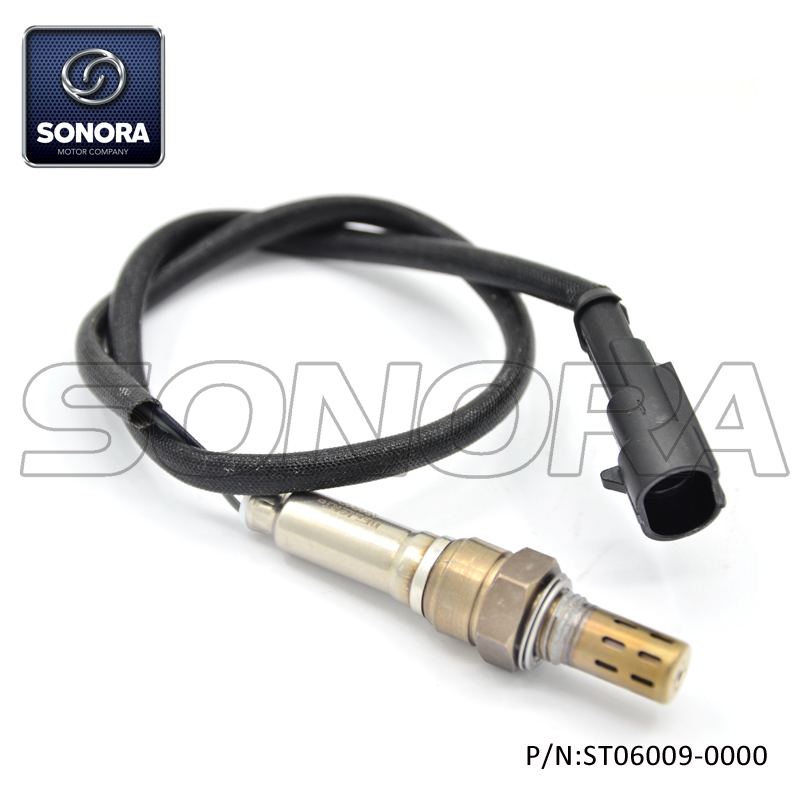 ST06096-0000 (2) ST06096-0000 (2)