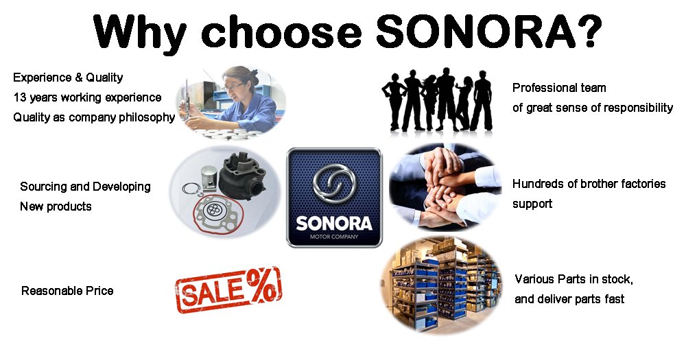 sonora motor motor de sonora