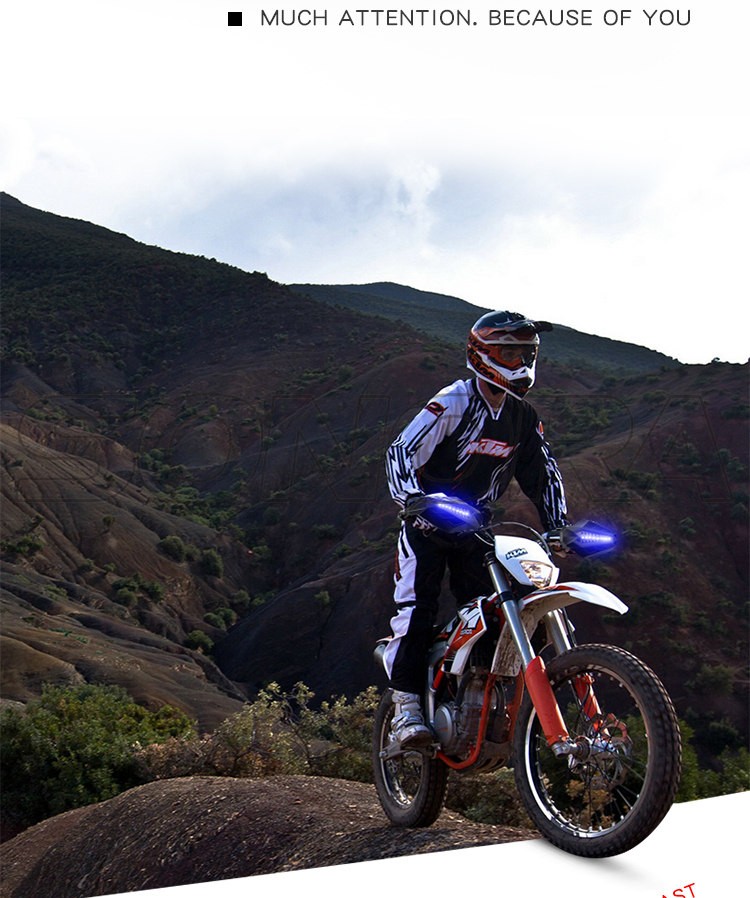 SPIRIT BEAST LED with light guard L1 (2) SPIRIT BEAST LED con protector de luz L1 (2)