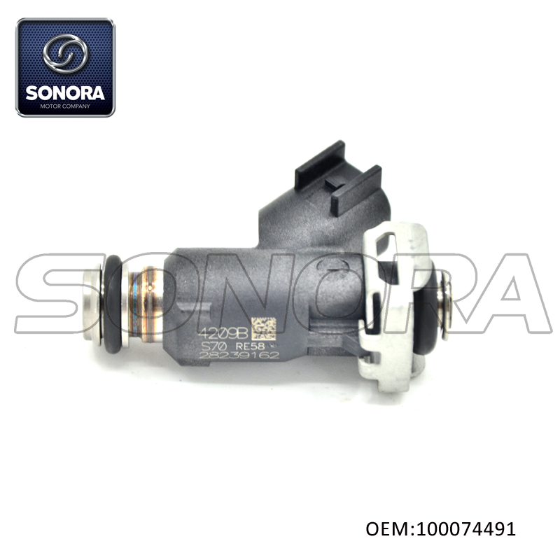 100074491 NX250 ZY125SR Fuel Injector (3) 100074491 NX250 ZY125SR Inyector de combustible (3)
