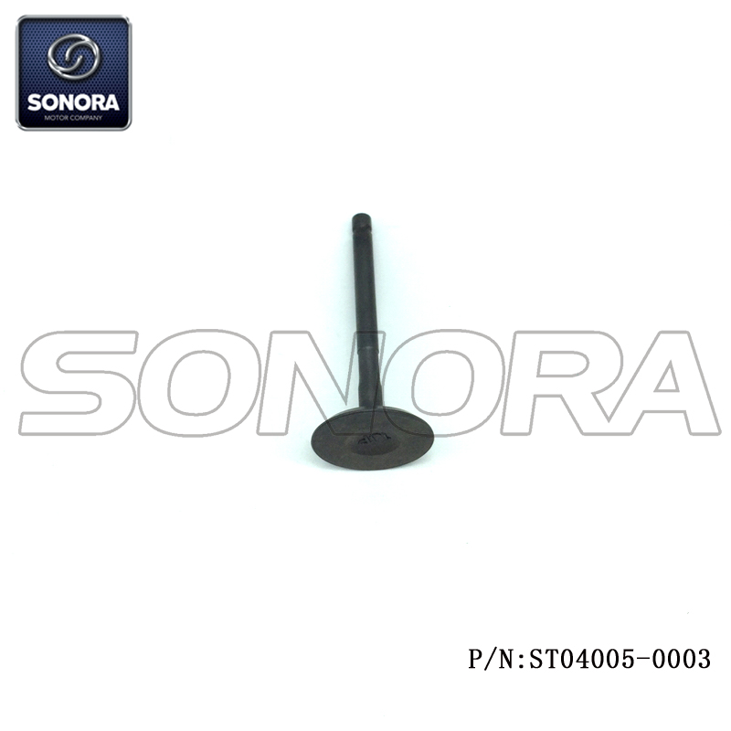 ST04005-0003 (3) ST04005-0003 (3)