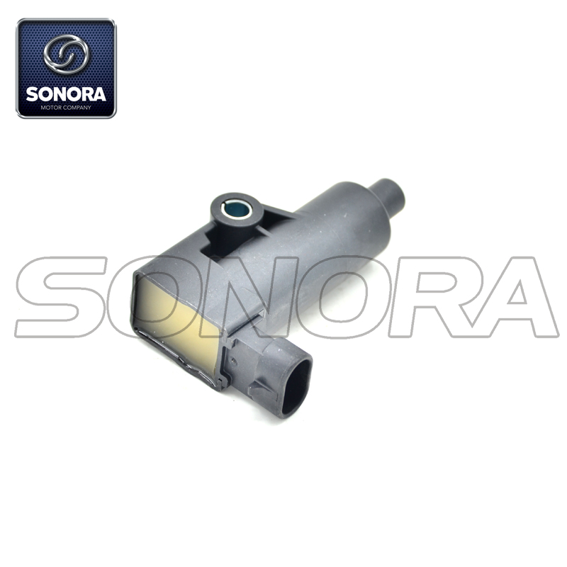 100204303 ignition coli (3) 100204303 ignición coli (3)