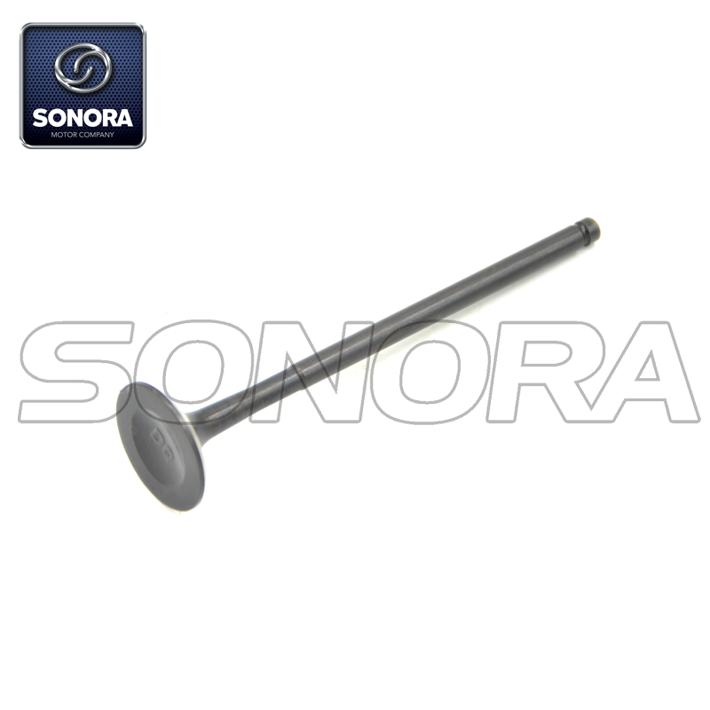 10061959 intake valve (1) 10061959 válvula de admisión (1)