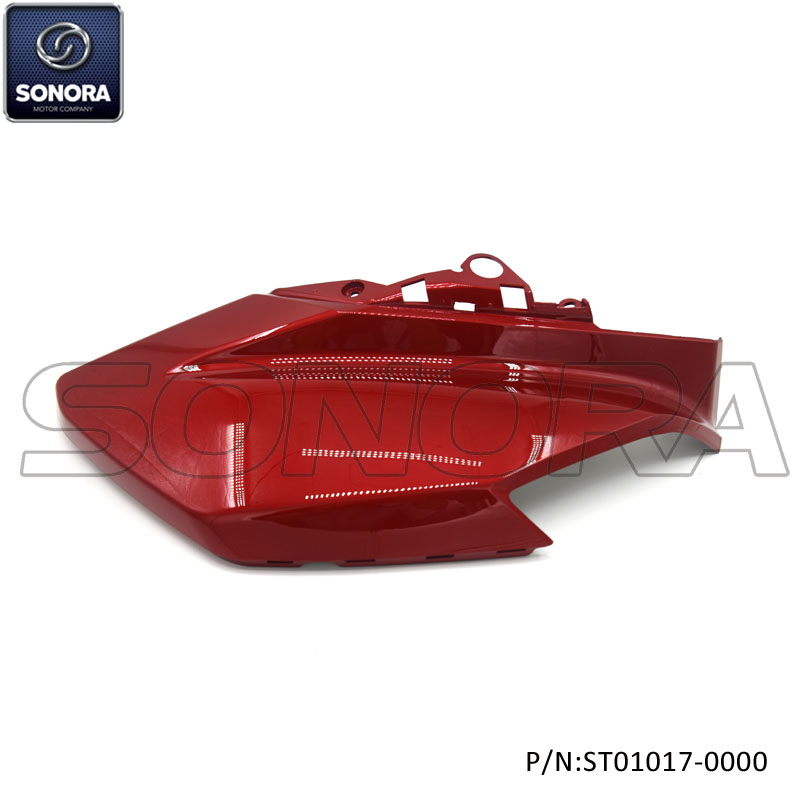 ST01017-0000 (2) ST01017-0000 (2)