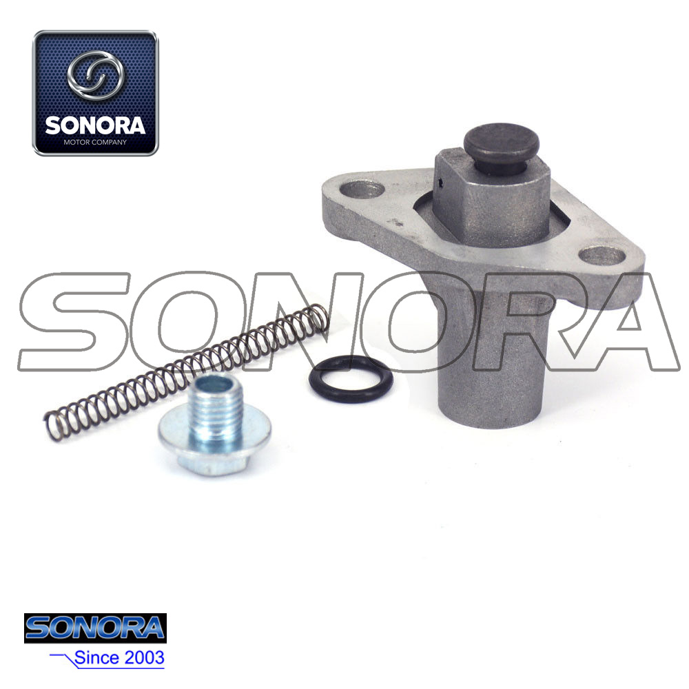 Tensor de cadena de leva NC250 (4)