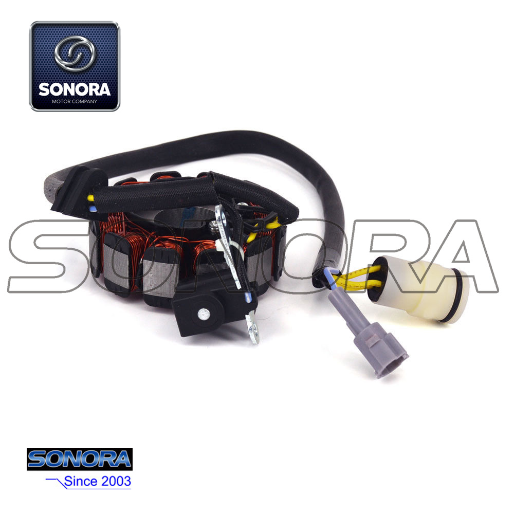 Bobina 2 del estator NC250