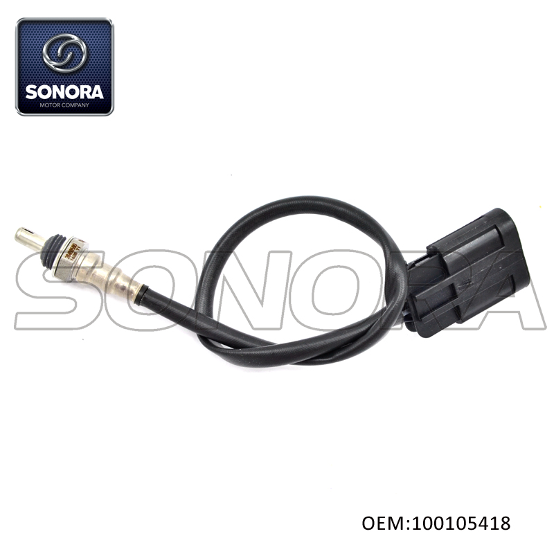 100105418 NC250 CG250D Sensor de ox&iacute;geno (1)