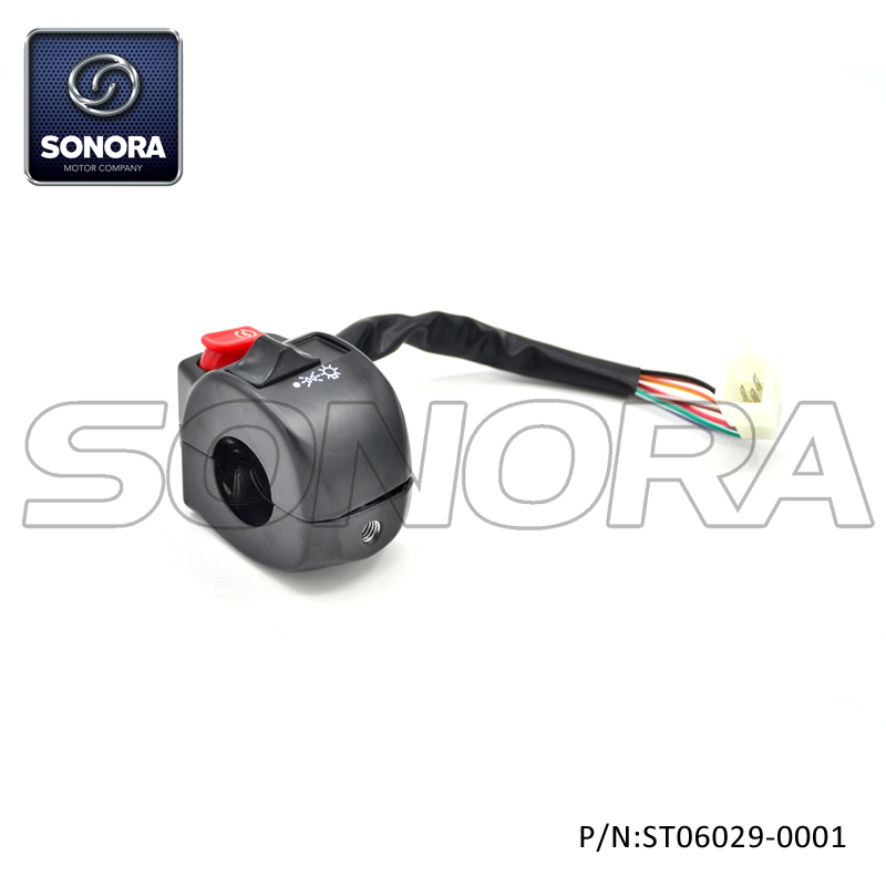 ST06029-0001 BT49QT-9F Interruptor de manija R (1)