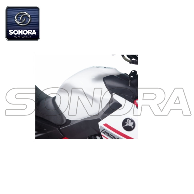 INYECCI&Oacute;N DE COMBUSTIBLE Z ONE-R 125CC, CBS, EURO4 4