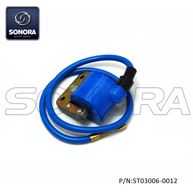 PIAGGIO VESPA 6V Ignition Coil (P/N ST030060012) TOP QUALITY Buy
