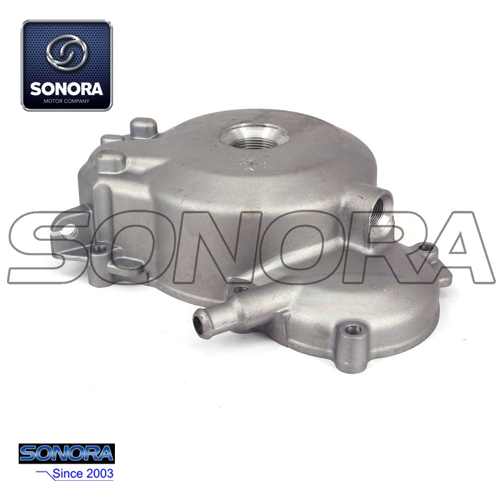 CUBIERTA DE CARTER IZQUIERDA (3)