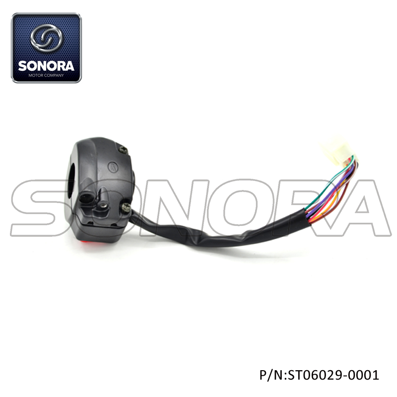 ST06029-0001 BT49QT-9F Interruptor de manija R (2)