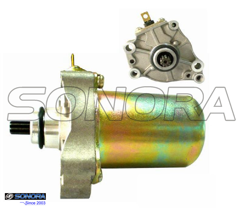 Scarabeo Starter Motor