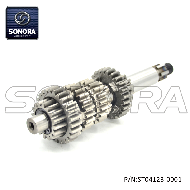 ST04123-0001 (3)