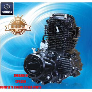 Zongshen CPS250 Complete Engine Spare Parts Original Parts