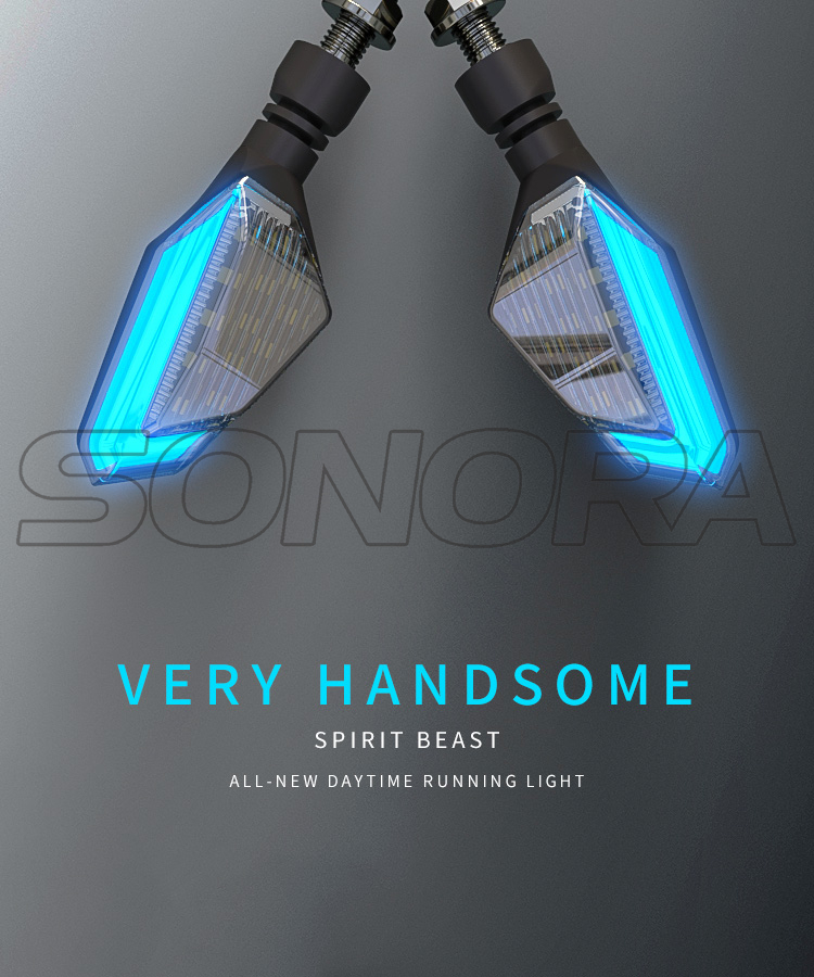 L&aacute;mpara de Coche SPIRIT BEAST L16