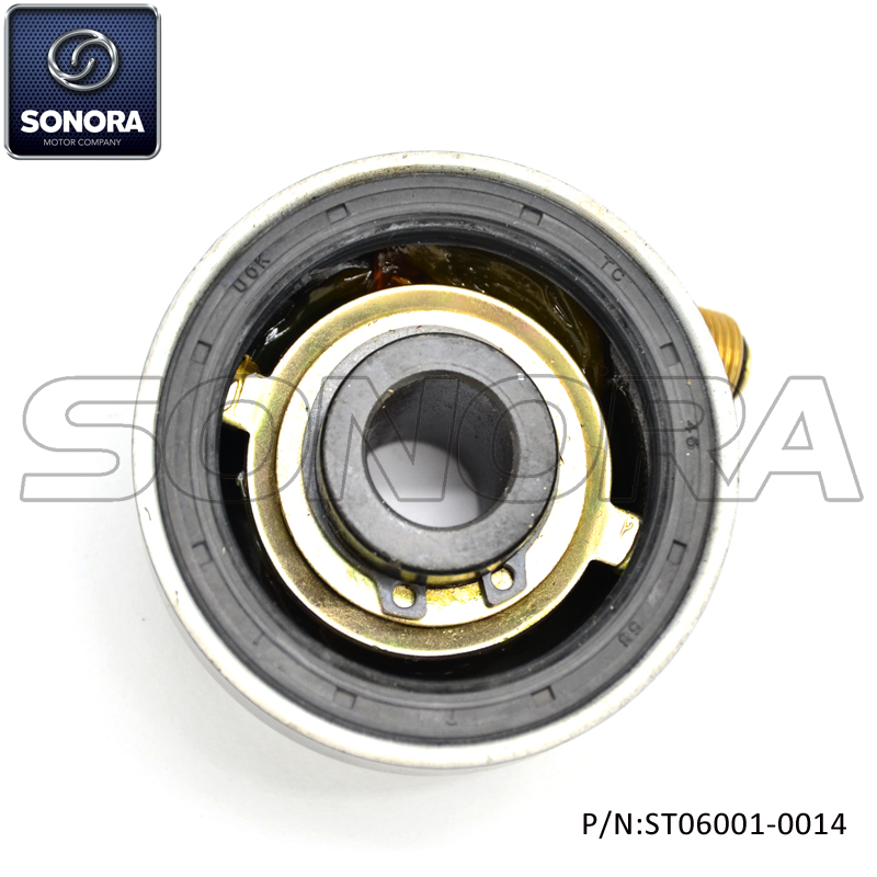 ST06001-0014 (5)