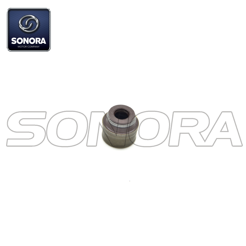 100200729 sello, v&aacute;lvula, v&aacute;stago (2)