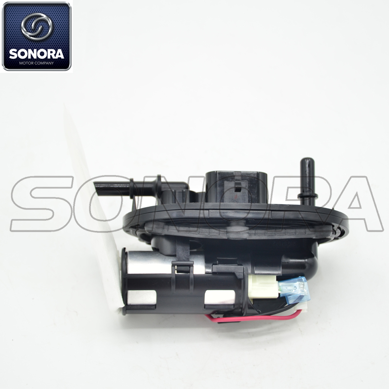 100105420 conjunto de bomba de combustible (2)