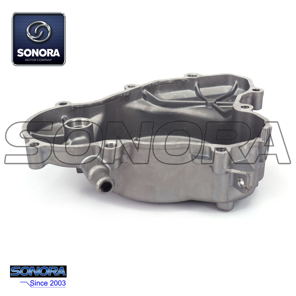 CUBIERTA DE CARTER IZQUIERDA (2)